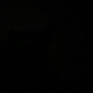 Meet your Posher, Perla